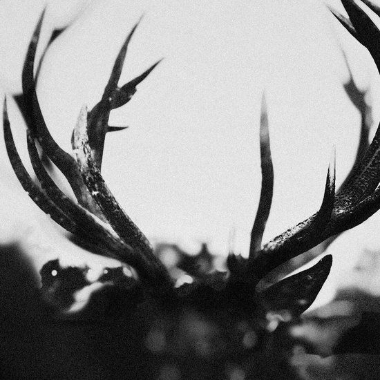 Ihsahn - Ihsahn (CD)