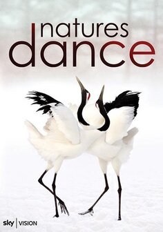 BAECKENS Natures Dance