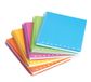 Pigna Set van 5 notitieboeken Skip effen PPL Fluo, spiraalblok, f.to A5, geruit 5 mm, 5 m