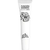 Gh Baume Lèvres Fonction Barrière 15 ml