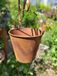 Edelrost seau pour planter - petit