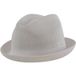 Kangol Hoed Tropicplayer