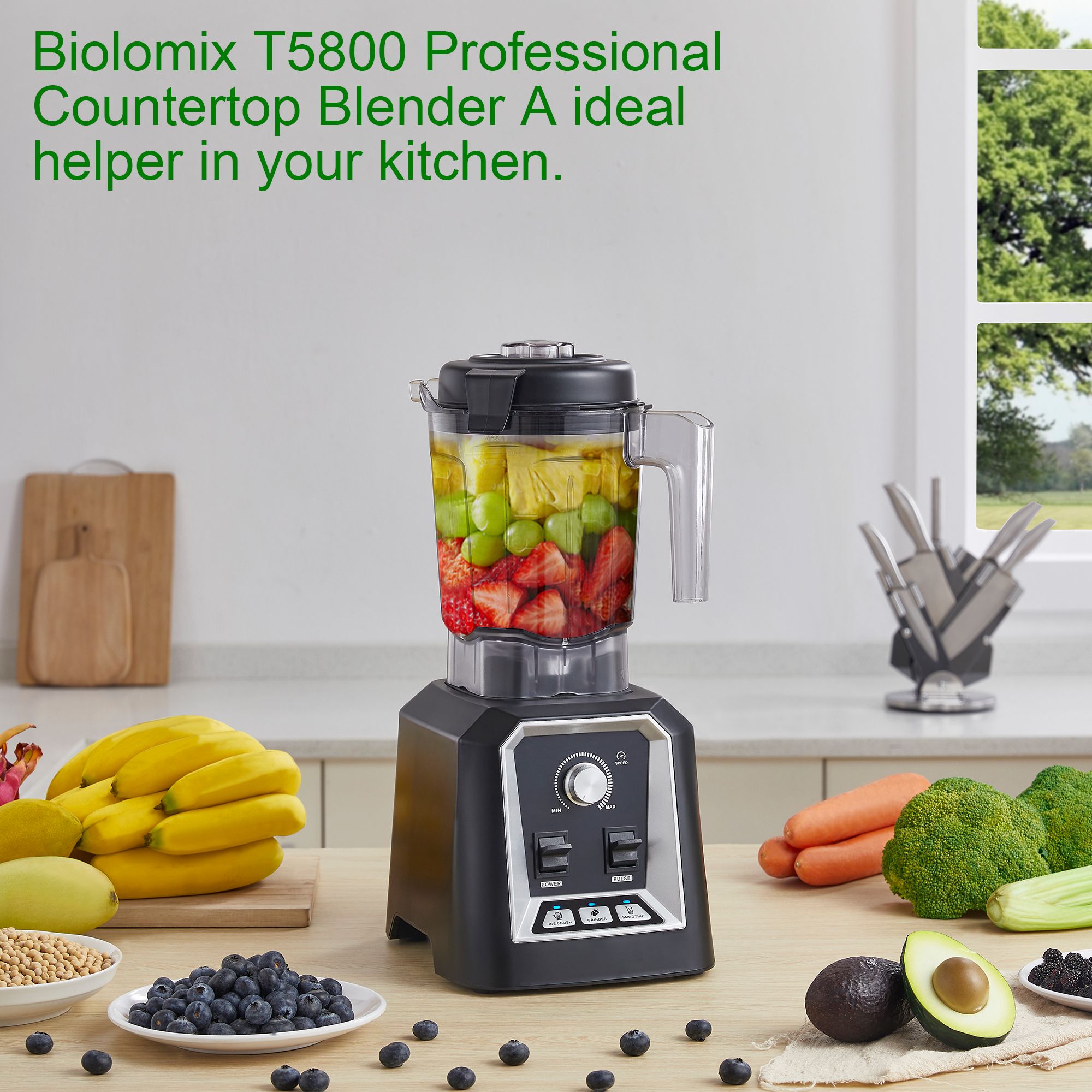 BioloMix 2L Low-Profile keukenblender