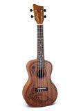 GEWA Concert Ukulele Manoa Wildlife - Korpus Sapeli - Laser Design Lizzard Chase - Natuurlijk zijdeglans - incl. gevoerde Gig Bag - K-CO-LIZ