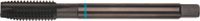 Rotec HSSE INOX M.Tap DIN 376-B M 10 VAP - 3311001