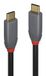 Lindy 36908 USB-kabel USB 3.2 Gen 2 (3.1 Gen 2) 5 m USB C 10 Gbit/s 100 W Zwart