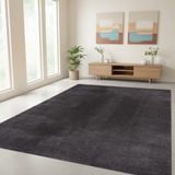 TapisTrend Harig tapijt Antraciet 60x110 cm