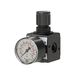 Riegler RB 11-6 drukregelaar, doorlopende drukvoorziening »multifix«, incl. manometer, BG 1, G 1/4, PE max. 16 bar, regelbereik 0,2-6 bar