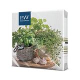 Dekoratief Pakje 20 servetten 'Flavor of Herbs', 33x33cm