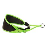 Verstelbare Inlandsis Verstelbare Hondenriem // Handsfree Wandelen, Trektocht, Canicross, Mushing // Ergonomisch, Achterzak, Hoge zichtbaarheid