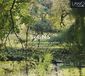 Sonic Rendezvous Ssens Trio - Divertimento K. 563 / Preludes And Fugues K. 404A