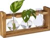 Merkloos Relaxdays Stekstation - Geometrische Stek Vaasjes met Houten Rekje - 13 x 28 x 6,5 cm - Bruin/Transparant