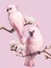 Diamantmozaïek perroquet rose 45x55 cm