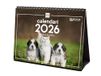 Finocam Tafelkalender 2026 maandoverzicht januari - december 2026 + september - december 2025 (4 maanden) gereduceerd | kalender 2026 | afbeeldingen honden en katten - Catalaans