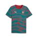 FPF PUMA FPF FtblCulture Tee AOP