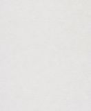 Rasch 770322 - wit vliesbehang met pleisterlook, poetsstructuur, poetstechniek - 10,05 m x 0,53 m (l x b)