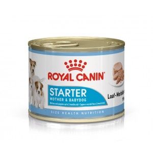 Royal Canin Starter Mousse Mother & Babydog - 195 gr - 12 blikken