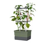 Gusta Garden Charly Chili Plantenpot Vrijstaand Polypropyleen (PP), Aluminium Groen