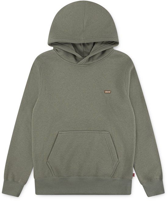 Levi's Kids Mini Batwing Hoodie Groen 14 Jaar Jongens