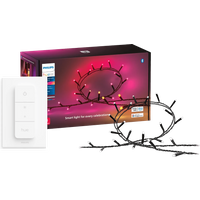 Philips Hue Festavia Lichtsnoer - 20 meter - 250 LEDs + Dimmer