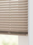 HEMA Jaloezie aluminium geborsteld 25mm champagne