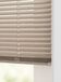 HEMA Jaloezie aluminium geborsteld 25mm champagne