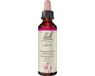 NELSONS GMBH Bach Original Bach-Blüten Nr. 19 Larch Lärche Tropfen, 20 ml