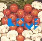 Bertus Distributie Kitsuné Love - Kitsuné Love (CD)