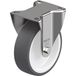 Blickle BX-POTH 125G Bokwiel Wieldiameter: 125 mm Draagvermogen (max.): 250 kg 1 stuk(s)