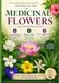 Medicinal Flowers: An Introduction