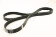 JAPANPARTS JPDV-6PK1905 V-riem