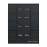 Busch-Jaeger 2CKA006220A0898 smart home bedieningspaneel, model SB-F-8.0.11-885, 8-voudig, Busch-Tenton, mat zwart, 1 stuk