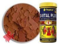 Tropical D-Vital Plus 600ml
