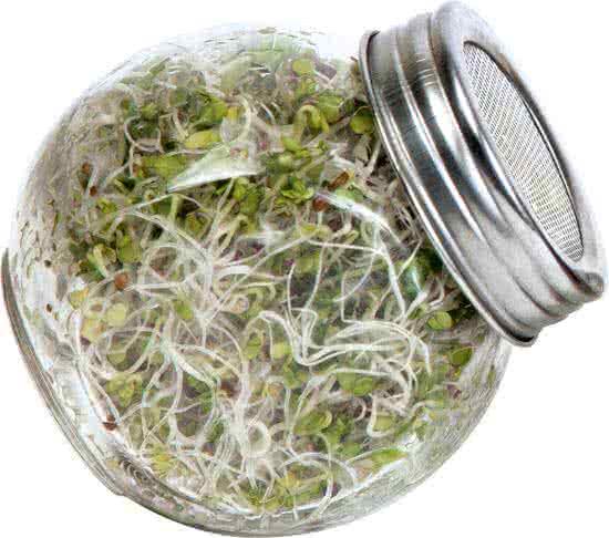 Buzzy Â® Organic Spruitgroente Pikante Salade in glazen pot