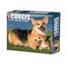 Willow Creek Welsh Corgi Scheurkalender 2026 Boxed