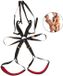 Bad Kitty Body Swing