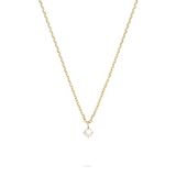 Tamaris Halsketting met fonkelende hanger van roestvrij staal, IP goud, ankerketting, verstelbaar tot 43 cm, waterdicht en huidvriendelijk