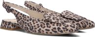 Paul Green 6090 Schoenen Dames - Bruin - Maat 42