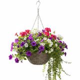 Van der Leeden Hangmand - D30 x H15 cm - Gevlochten Wilg - Hangende Plantenbak met Ketting