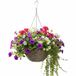 Van der Leeden Hangmand - D30 x H15 cm - Gevlochten Wilg - Hangende Plantenbak met Ketting