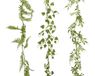 Everlands Slinger plastic L2b10h180 cm groen a3