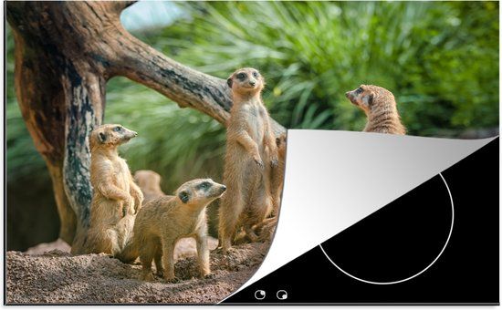 KitchenYeah® Inductie beschermer 77x51 cm - Stokstaartjes - Inductie kookplaat accessoire