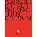 Outhere J.S. Bach-Stiftung Chor & Orchester Der J.S. Bach-Stiftung, Rudolf Lutz - J.S. Bach: Was Soll Ich Aus Dir Machen, (DVD)