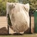 VidaXL Plant Fleece Covers Beige 2.4 x 2 m