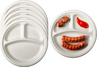 Pure - Disposable Tableware Pure BBQ/verjaardag wegwerp vakjesbordjes - 36x stuks - dia 23 cm - suikerriet - biologisch afbreekbaar