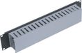 Triton 19" panel 2U with cable trunking
