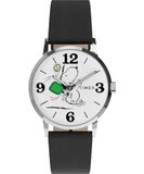Timex TW2Y50400 Heren polshorloge