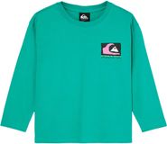 Quiksilver Kingpin Sweatshirt Groen 24 Months Jongen