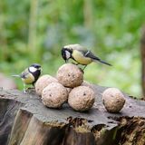 CJ Wildlife - 6x Vetbollen met insecten - 35% vet - Zonder netje - Jaarrond inzetbaar - Voor tuinvogels
