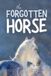 The Grey Pony Films The Forgotten Horse Paperback